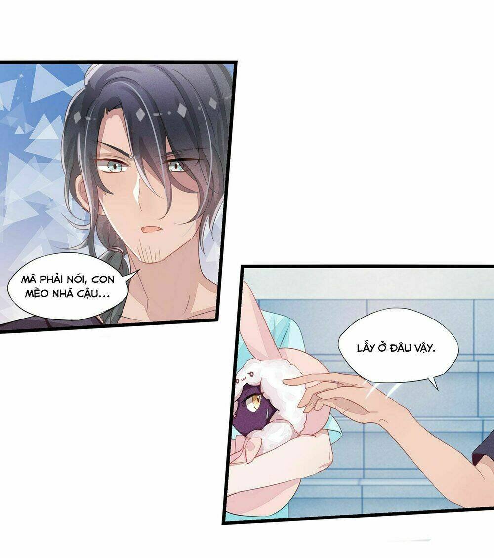 làm mèo của ta chapter 5 13