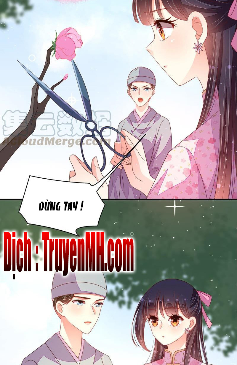 ngày nào thiếu soái cũng ghen chapter 343 17
