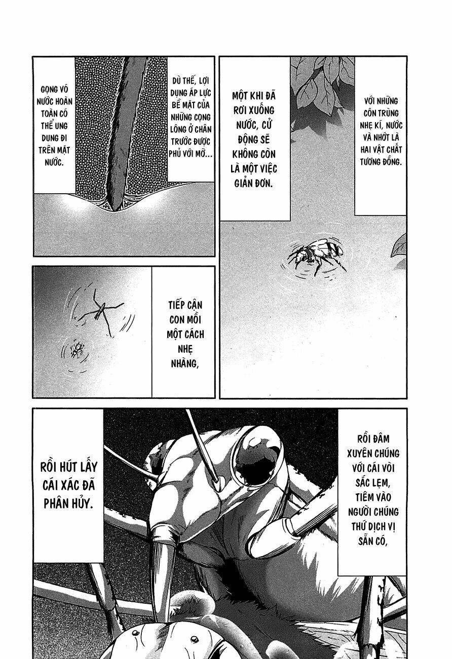 arachnid chapter 19 33