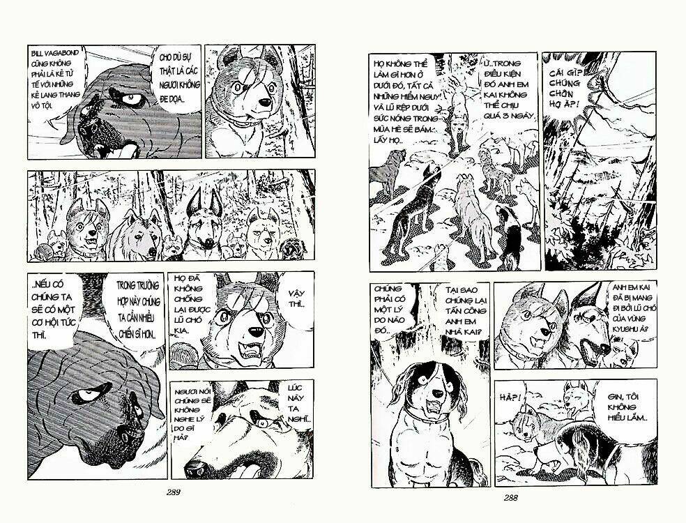 chú chó có nghĩa - ginga nagareboshi gin chapter 23 8
