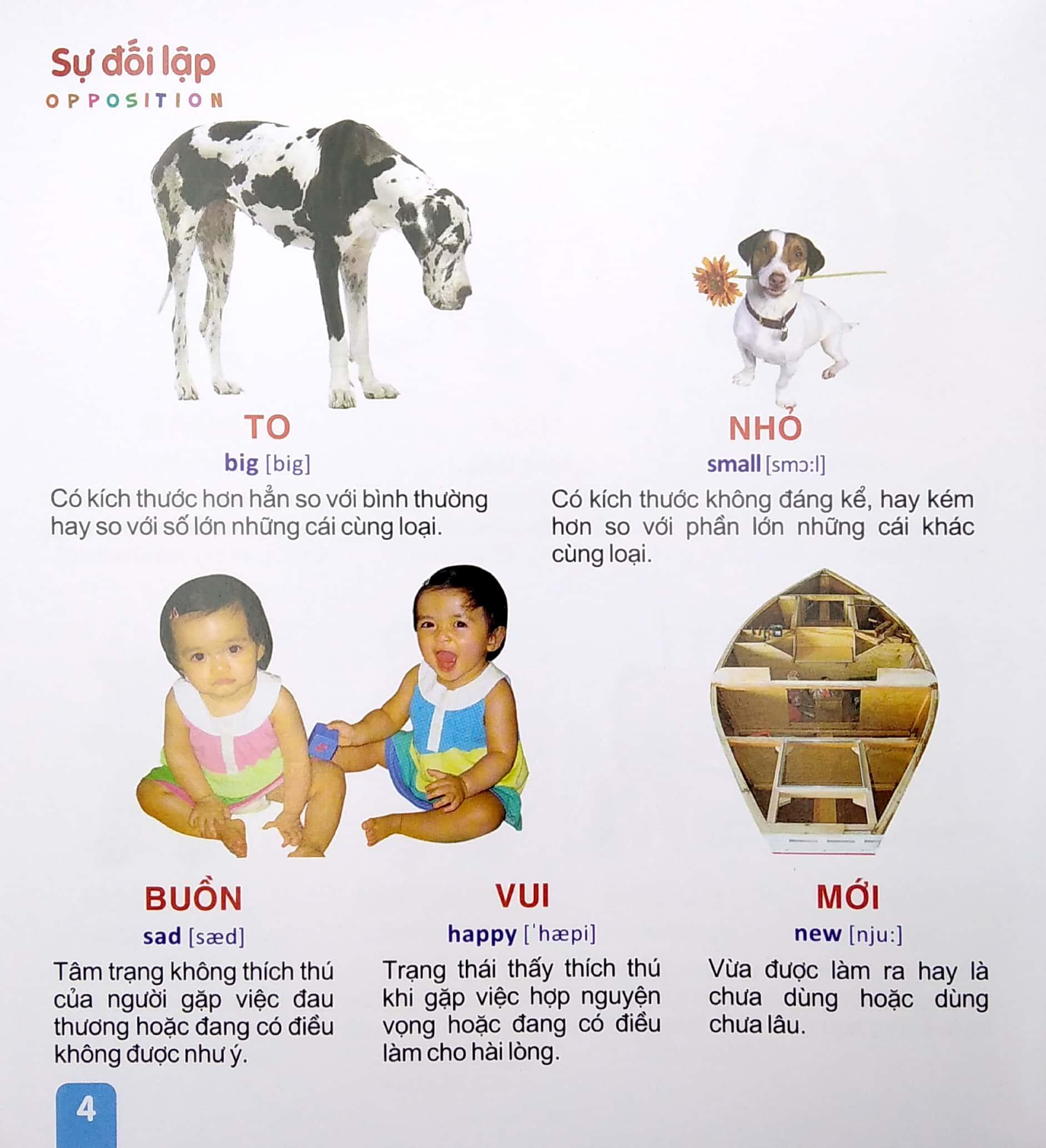 Từ Điển Tranh - Sự Đối Lập, Hình Dạng, Màu Sắc, Thời Tiết, Thời Gian