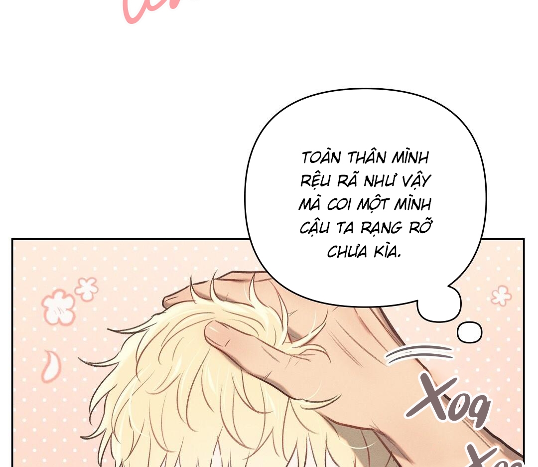 đại úy lãng mạn thân yêu của tôi chapter 16 17