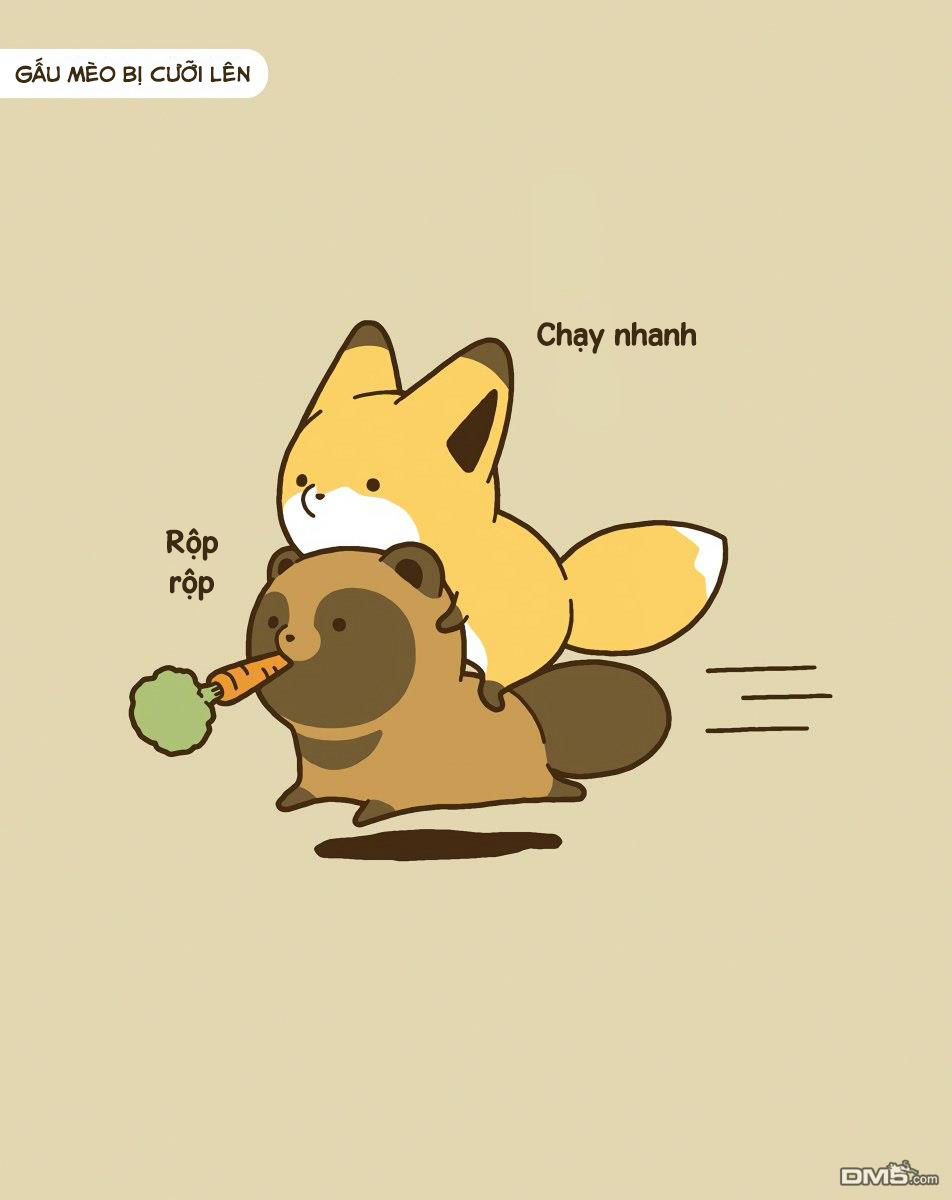 cáo và gấu mèo chapter 10 10