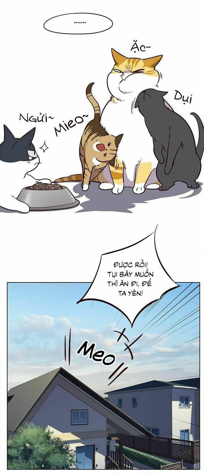 biến thân thành mèo chapter 9 16