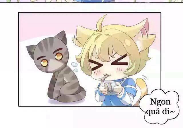 thị hoang chi thần chapter 11 31