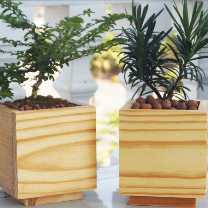 Chậu cây bằng gỗ tự nhiên - Kích thước: 13x13cm