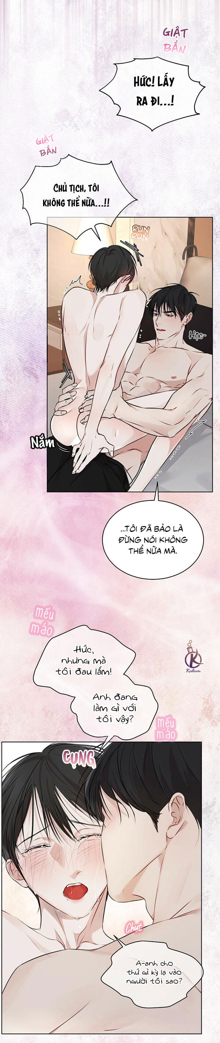 hình thái khởi sinh chapter 28 18