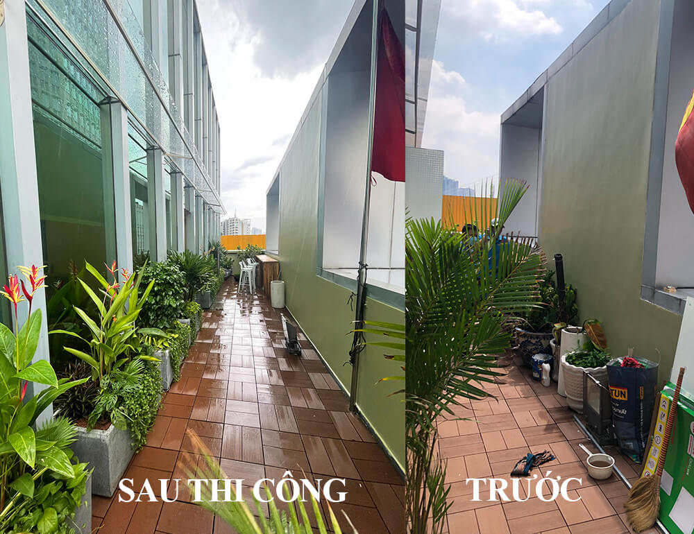 Chậu Đá Mài Cây Xanh Ban Công size lớn gồm Chậu, cây xanh, đất trồng và phân bón với thời gian bảo hành 2 tháng