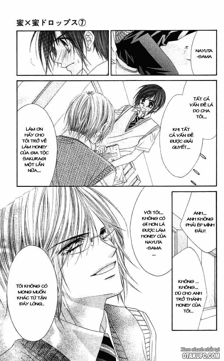 honey x honey drop chapter 41 12