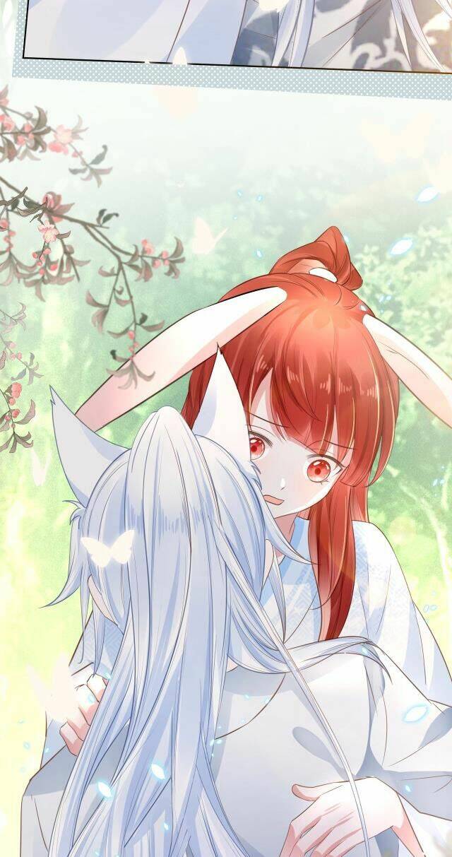 hắc hóa nam chính trực tuyến nuôi thỏ chapter 14 22