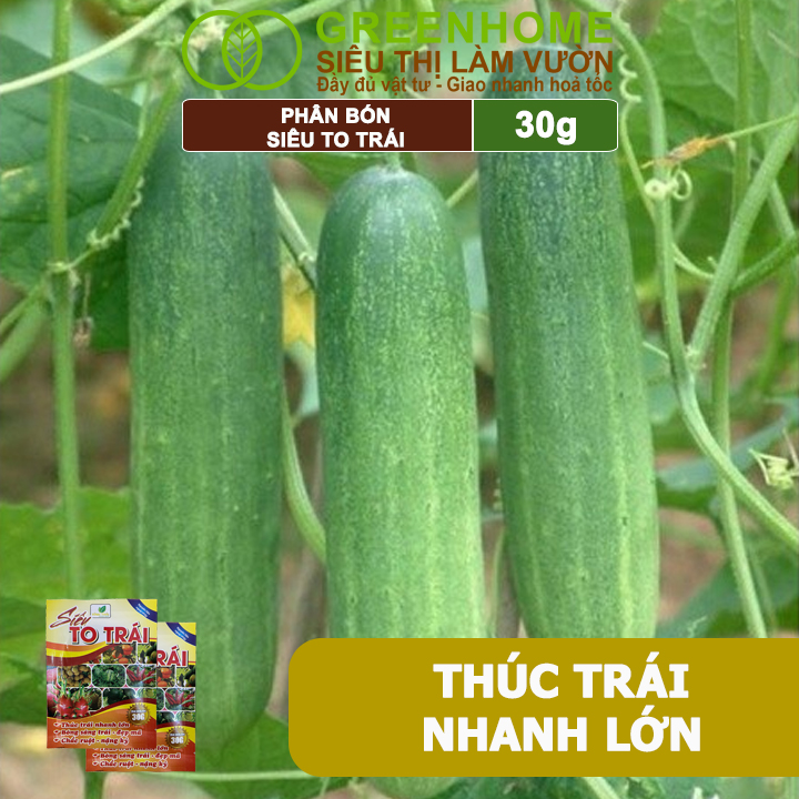 Phân Bón Siêu To Trái, GreenHome, Gói 30Gr, Thúc Trái Nhanh Lớn, Chắc Ruột, Nặng Ký, Đẹp Mã