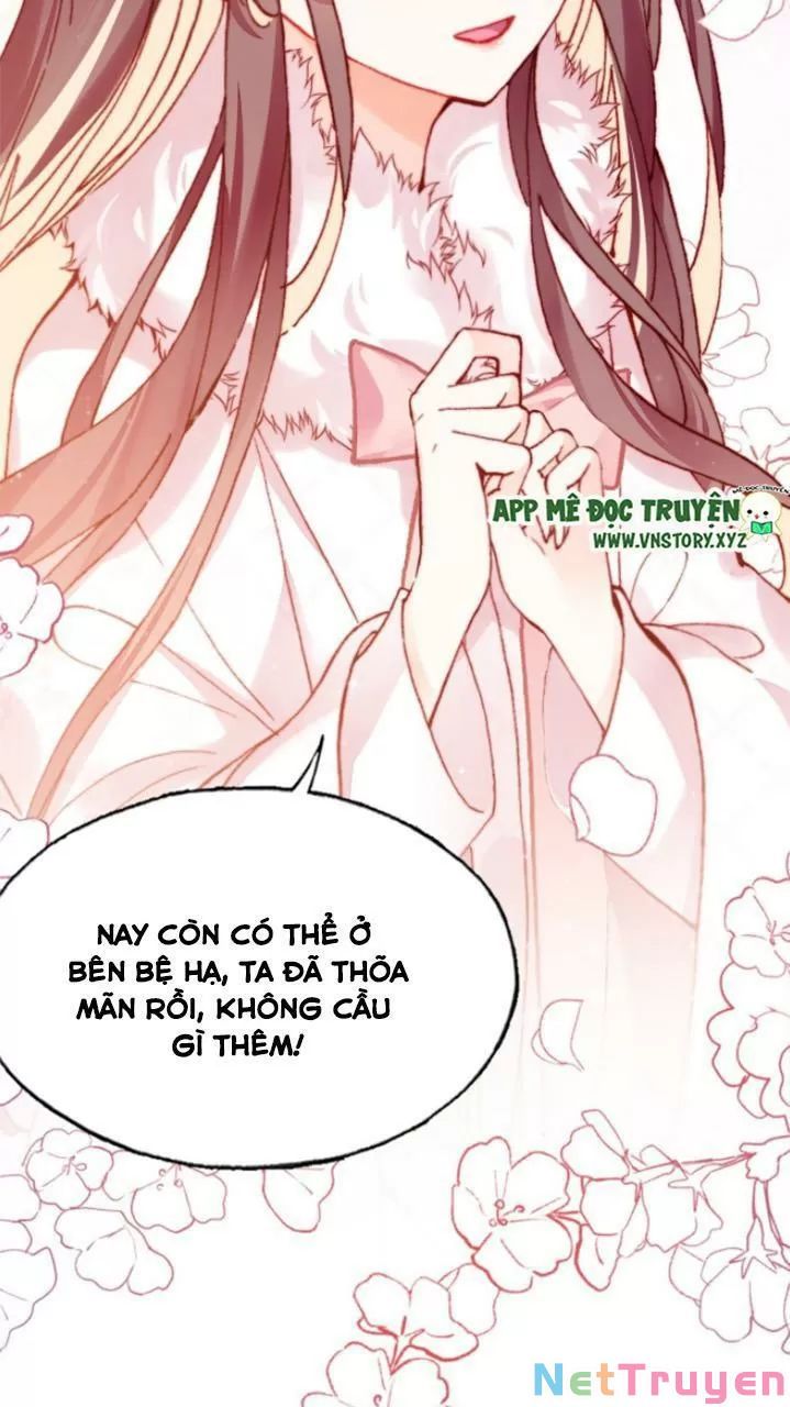 lại bị bệnh chiều chuộng quấn lấy chapter 29 41