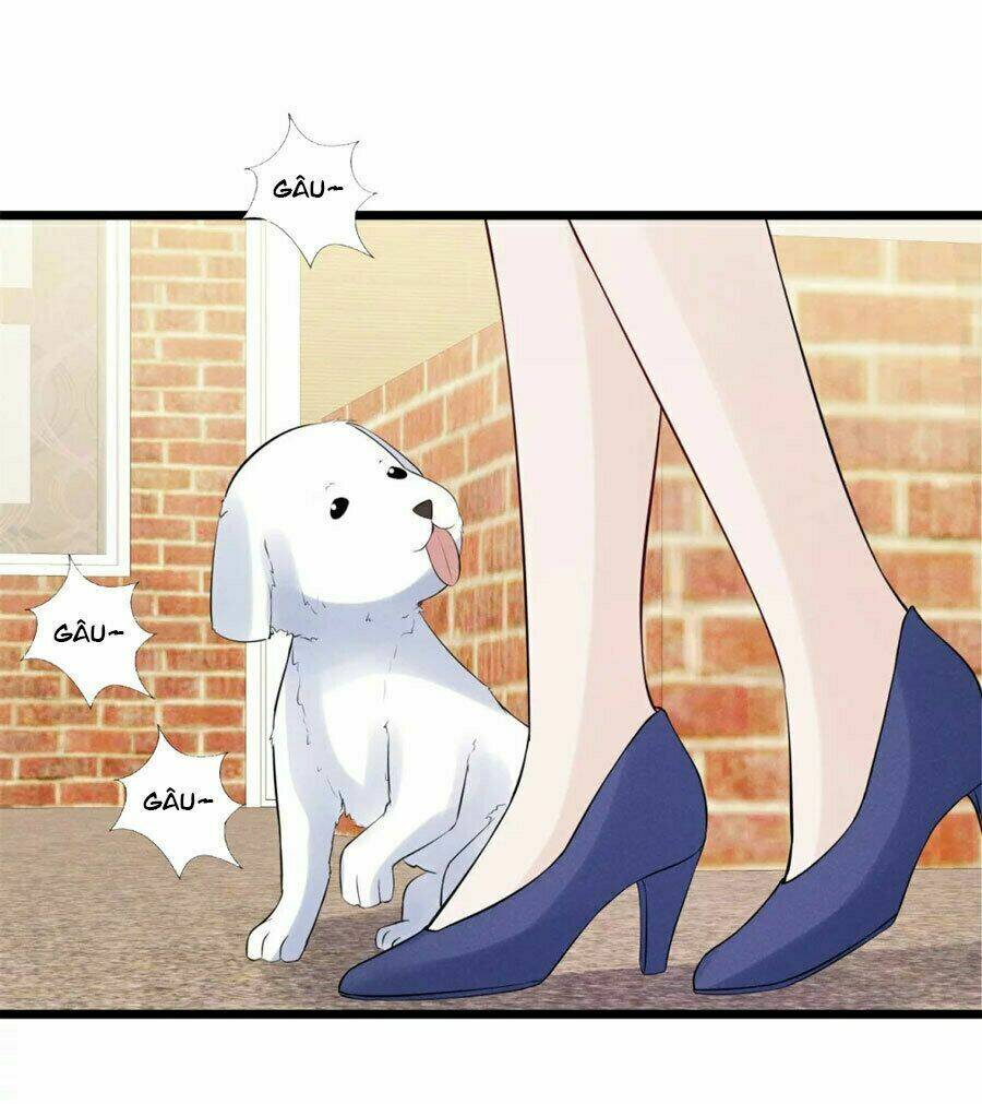 cạm bẫy lửa tình chapter 70 8