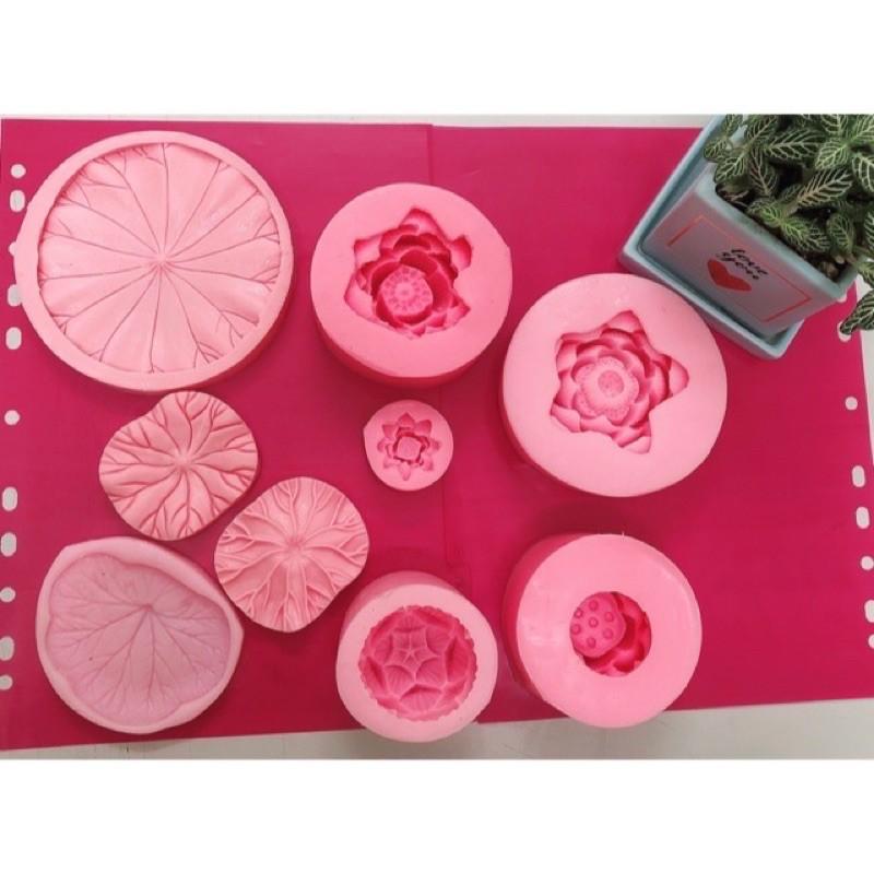 Sét sen 8 khuôn silicon rau câu 4D