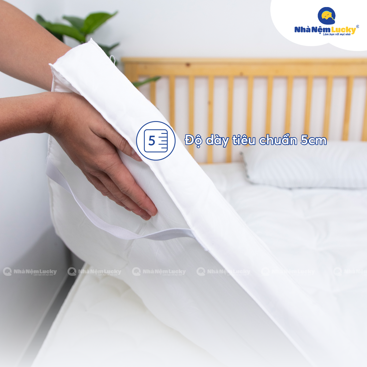 Nệm Topper Edena Deluxe - Topper MicroFiber - Tấm lót làm mềm, bảo vệ nệm - Dày 5cm - 6 Kích Thước