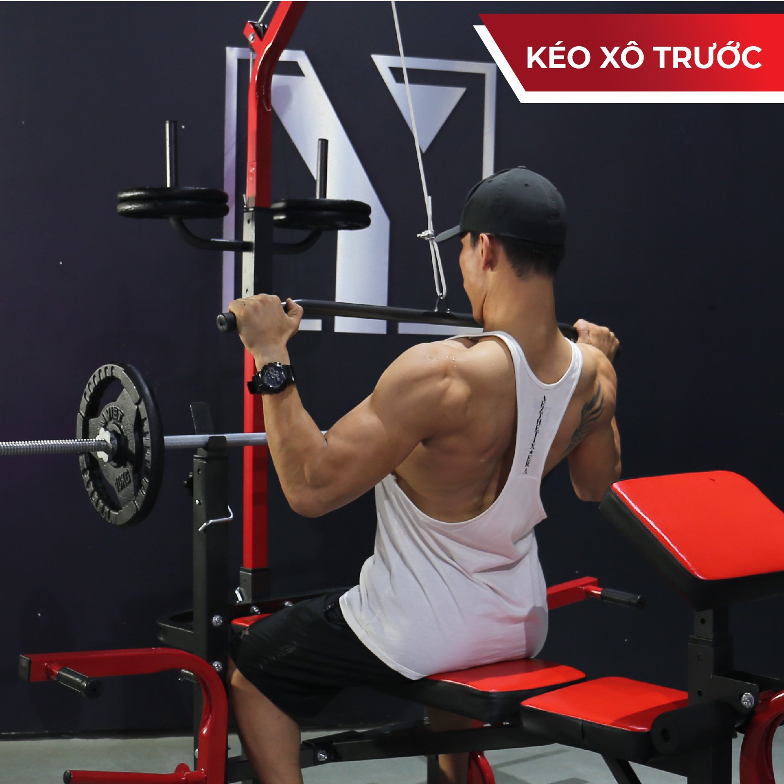 Giàn Tạ Đa Năng Zasami SGT-8210 Plus - kèm 50kg tạ gang, 1 đòn 1m5, và 1 đôi găng tay