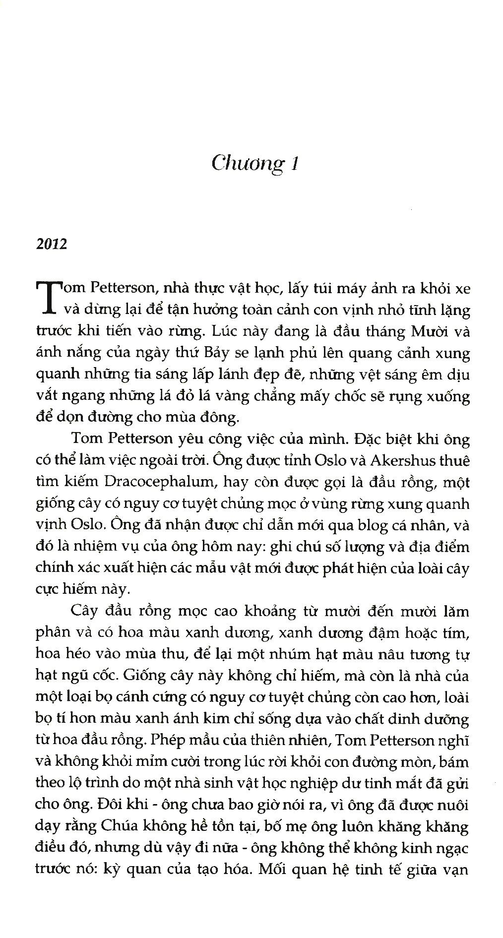 Cú Săn Đêm