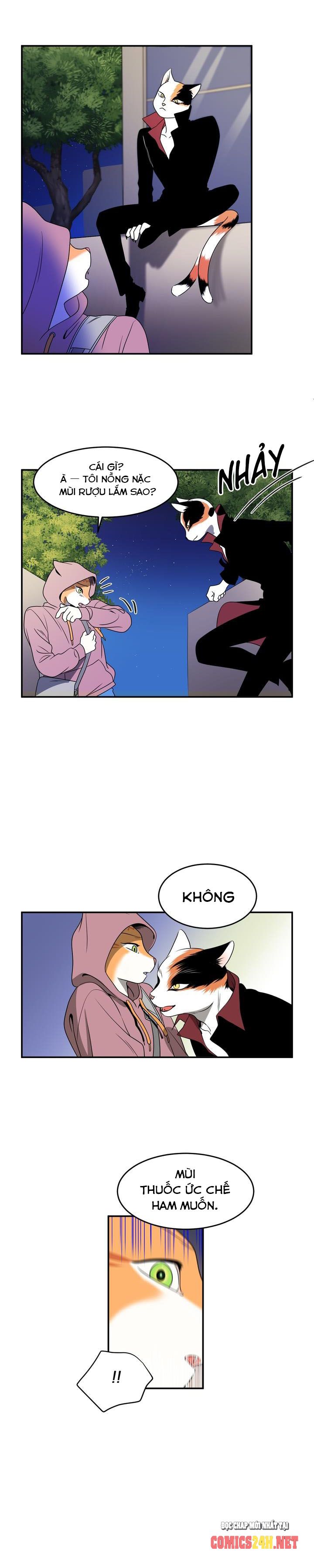 dự án xanh chapter 1 5