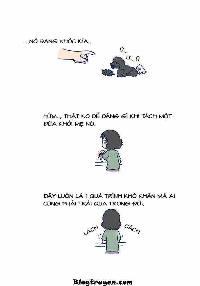 my kitty and old dog chapter 11 5