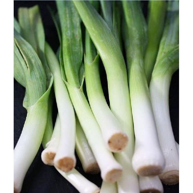 Hạt Giống Tỏi Tây - 1gr/gói