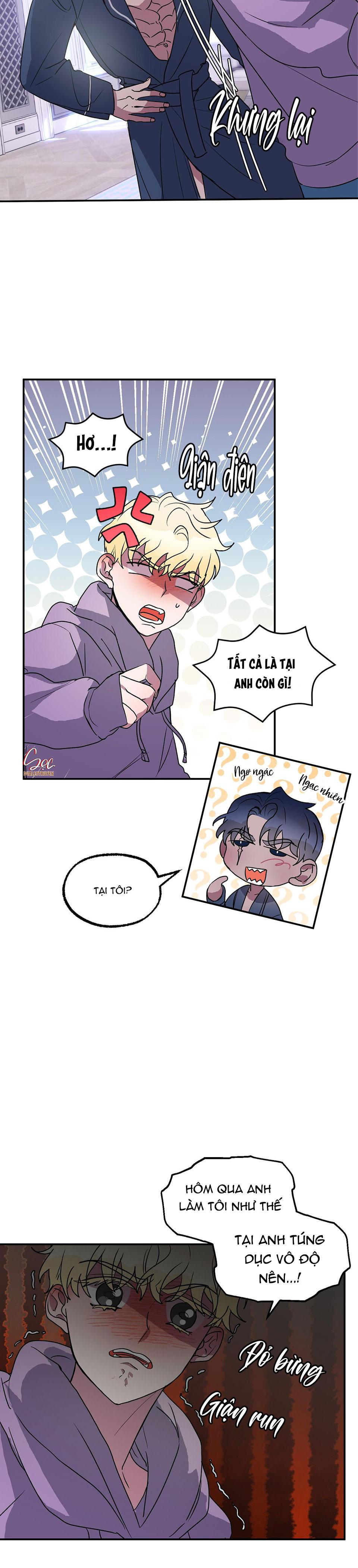 cá mập và cô dâu thỏ chapter 5 6