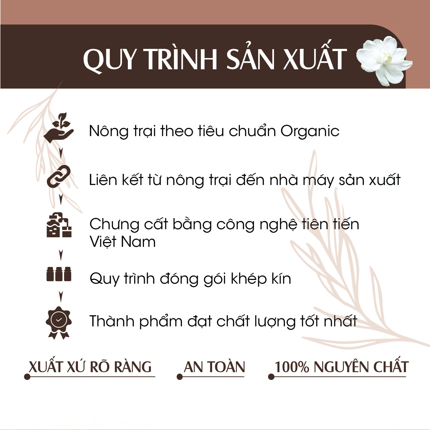 Combo 2 chai Xịt Phòng Tinh Dầu Quế Hữu Cơ Organic 24Care 100ML/Chai - Kháng khuẩn - Khử mùi hôi - Đuổi muỗi - côn trùng - Hương thơm thư giãn.