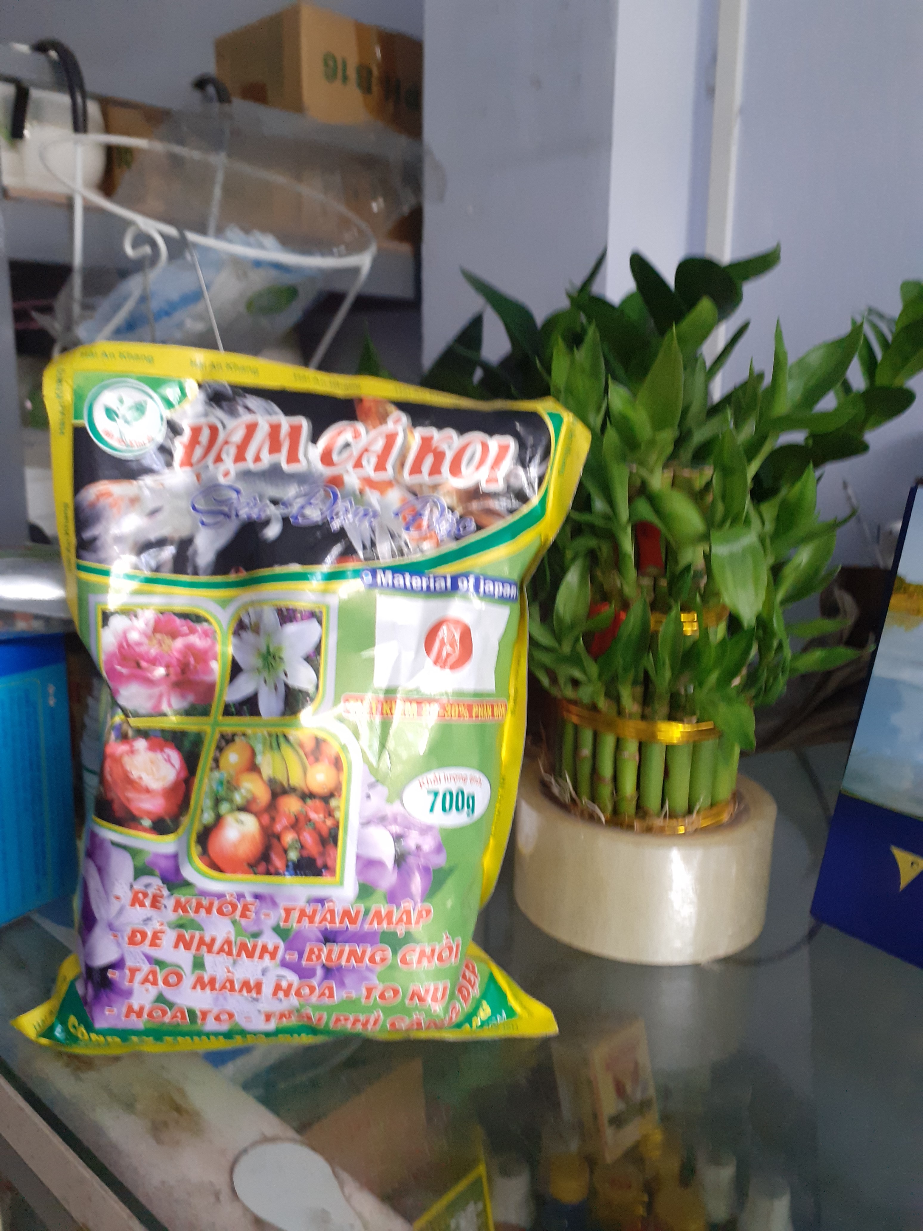 Đạm cá koi