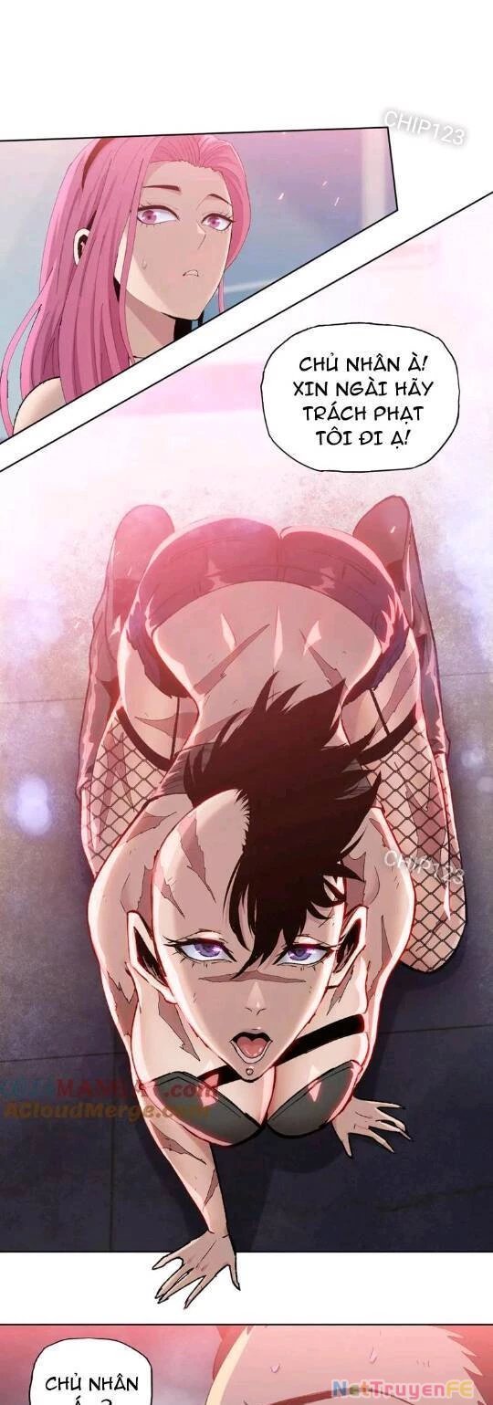 kẻ tàn nhẫn ngày tận thế: bắt đầu dự trữ hàng tỷ tấn vật tư chapter 22 29