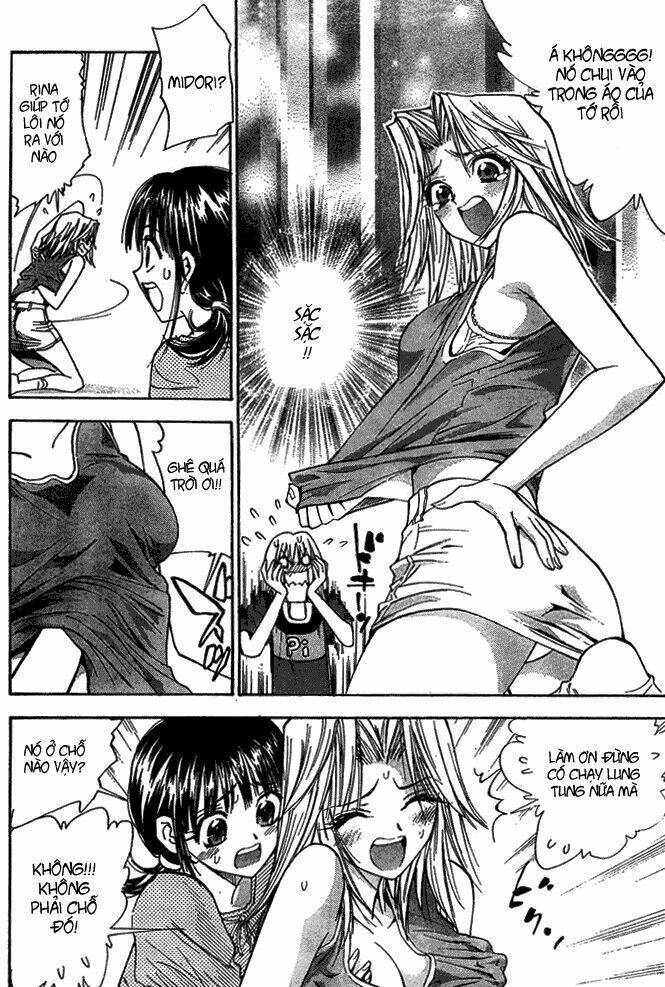 pretty face chapter 14 12