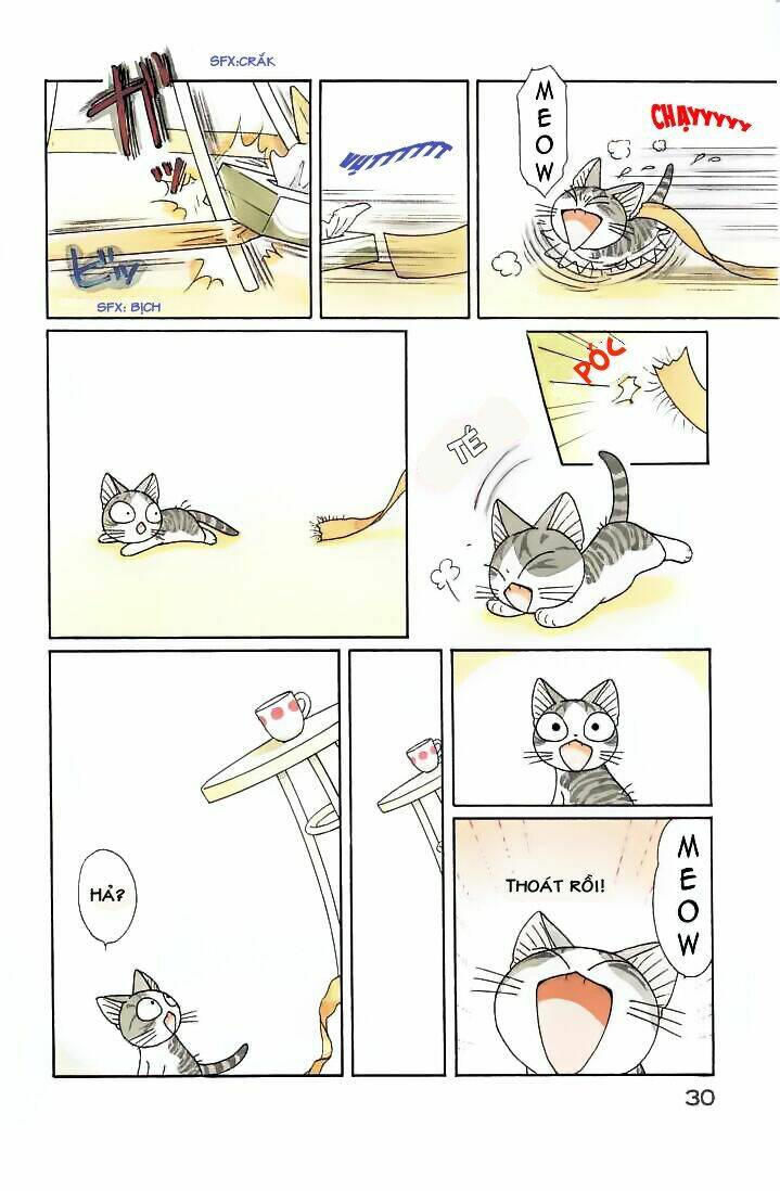 chi's sweet home chapter 78 6