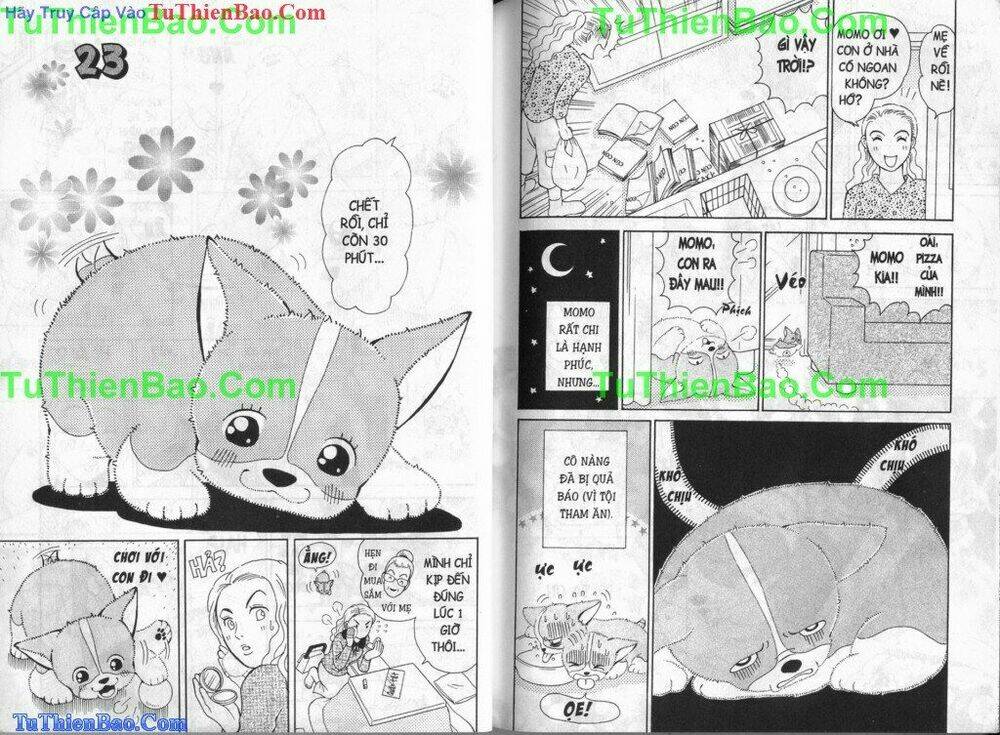chó con mo mo chapter 3 76