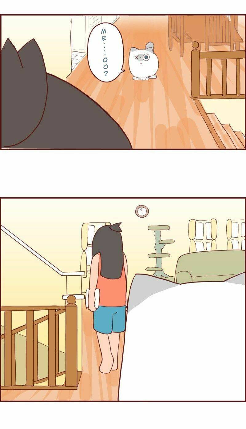 saphie: chú mèo một mắt chapter 6 11