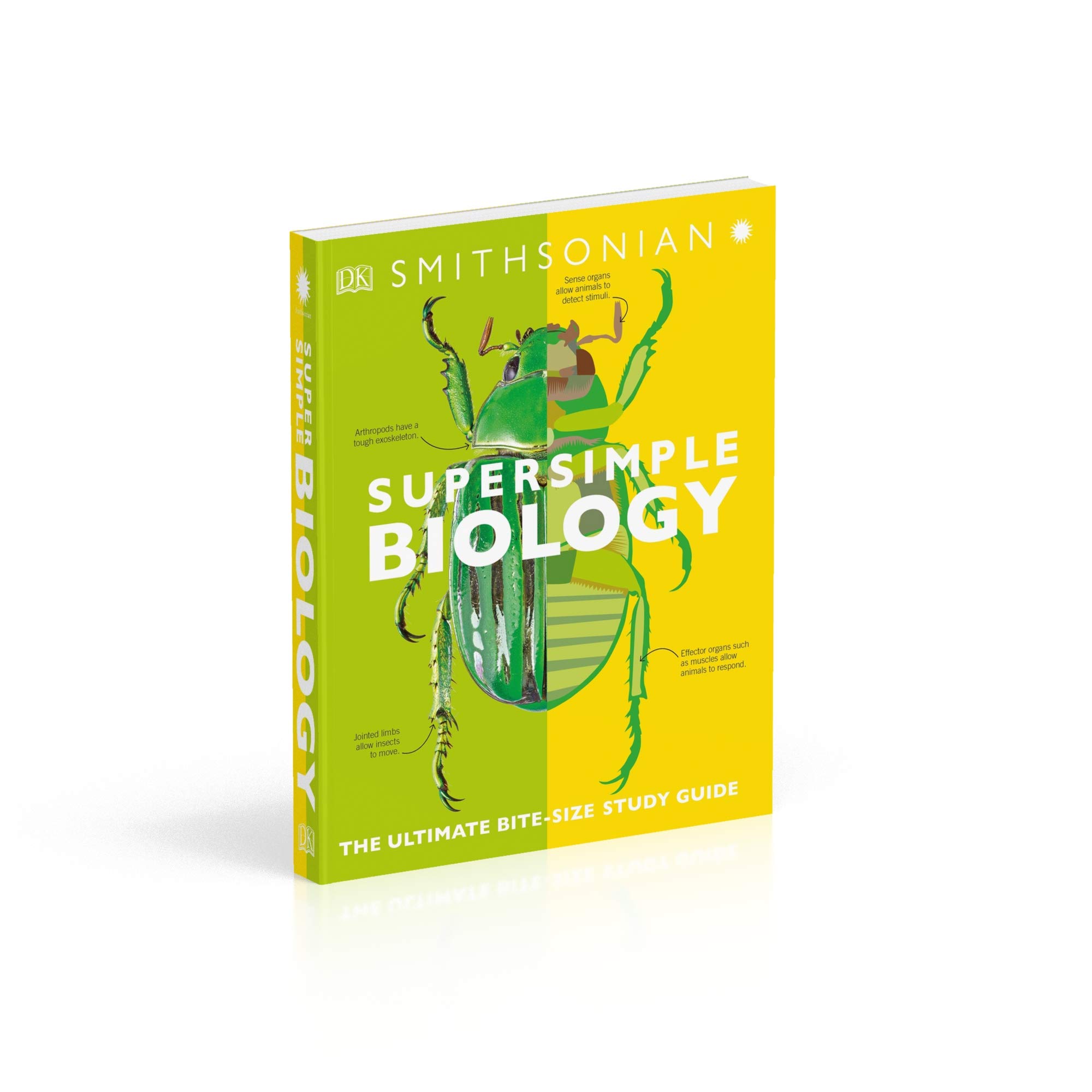 Biology: The Ultimate Bitesize Study Guide (Supersimple)