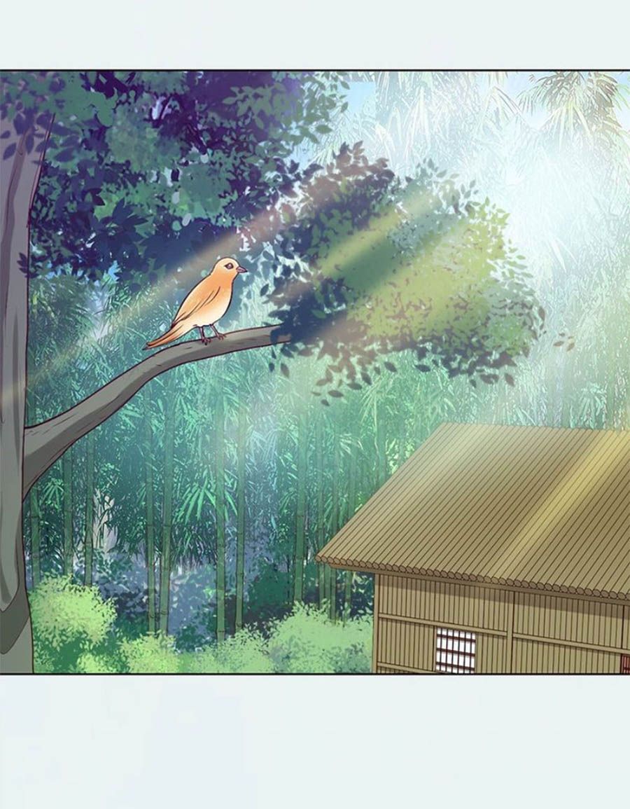 mỹ nhân già rồi chapter 69 2