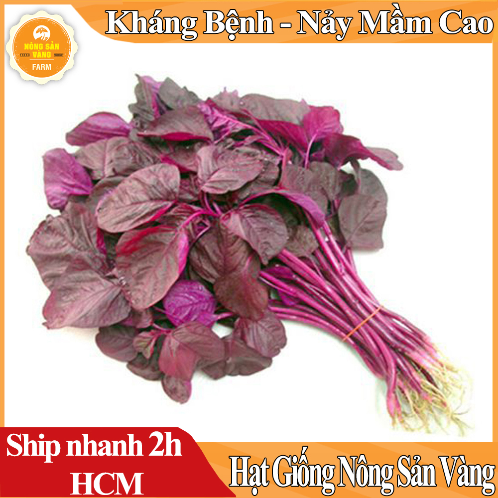 Hạt giống Rau Dền Đỏ, Tỉ Lệ Nảy Mầm Cao, Sinh Trưởng Và Phát Triển Khỏe, Năng Suất Cao - Nông Sản Vàng