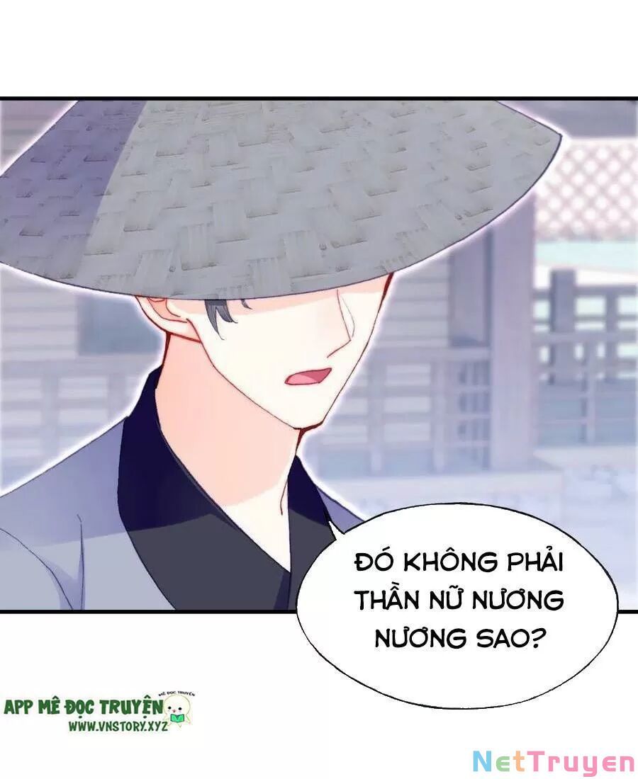 lại bị bệnh chiều chuộng quấn lấy chapter 67 19