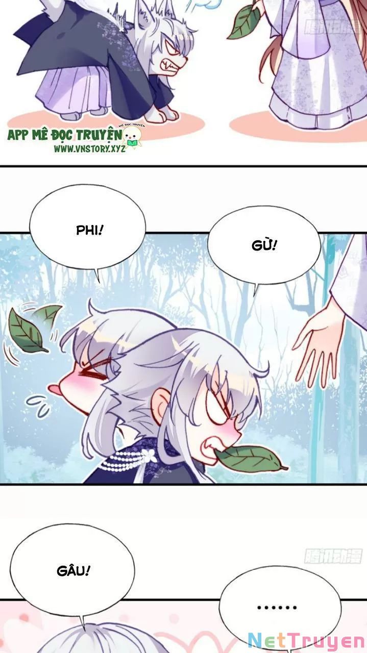 lại bị bệnh chiều chuộng quấn lấy chapter 19 16