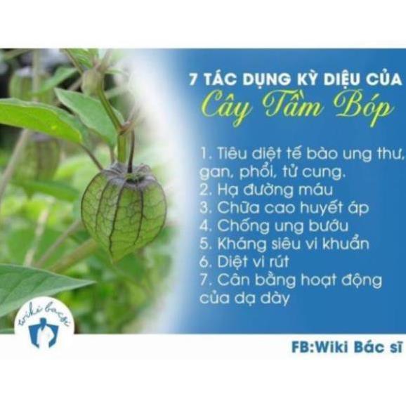 Cây thù lù khô 500g PV