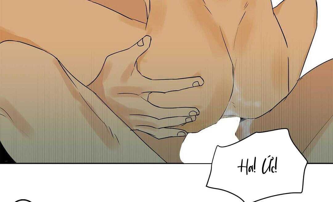 guide cấp b chapter 38 166