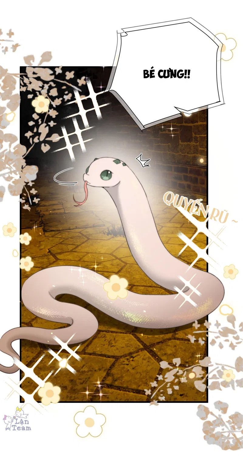 kế hoạch tẩu thoát chapter 29 22