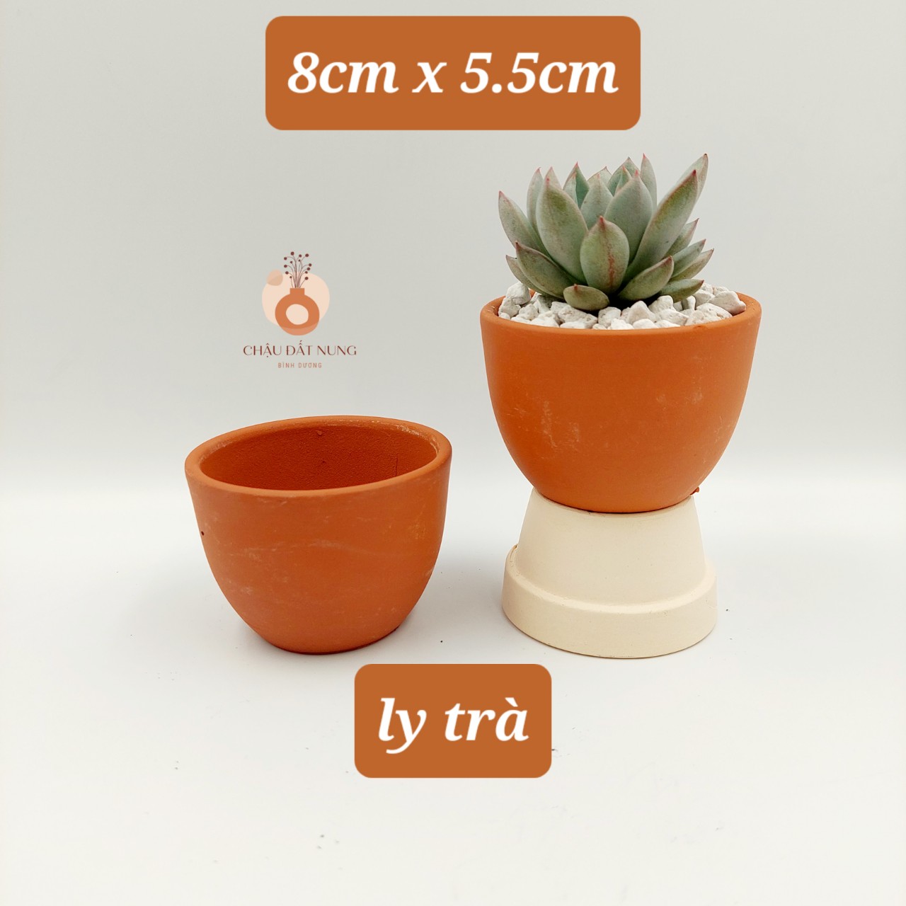 Chậu đất nung Bình Dương- Bắp cải 86, miệng chậu 8~9cm, chiều cao 6~7cm