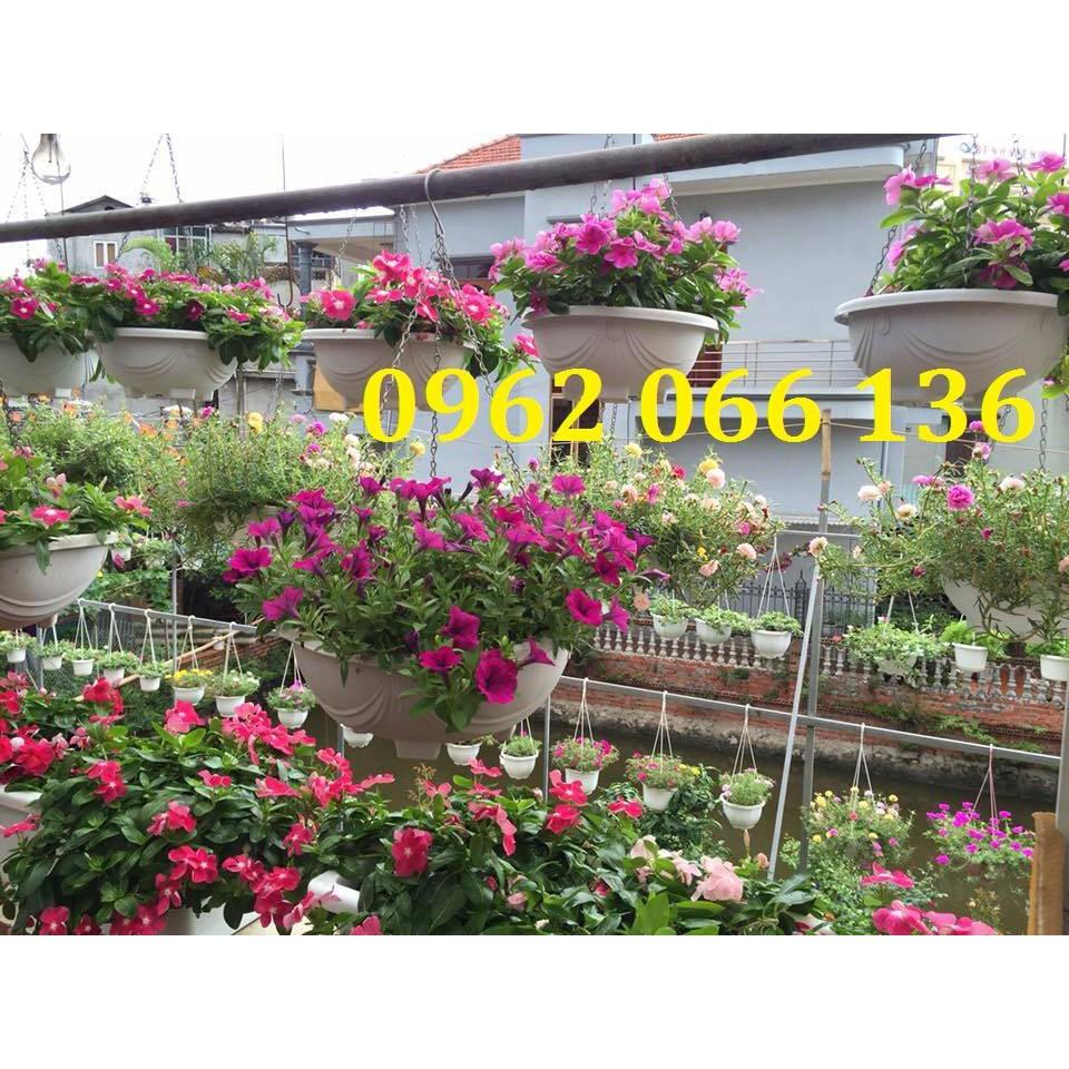 Combo 5 chậu treo chảo xích