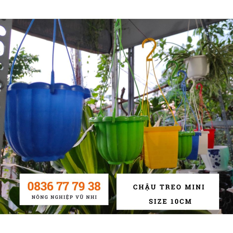 Chậu treo mini nhiều màu trồng hoa kiểng, sen đá dễ thương