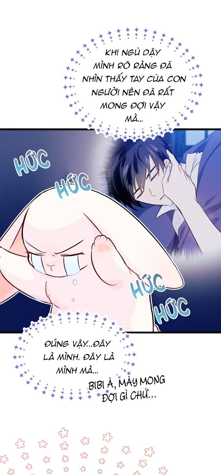 mối liên kết giữa báo đen và bé thỏ chapter 11 11