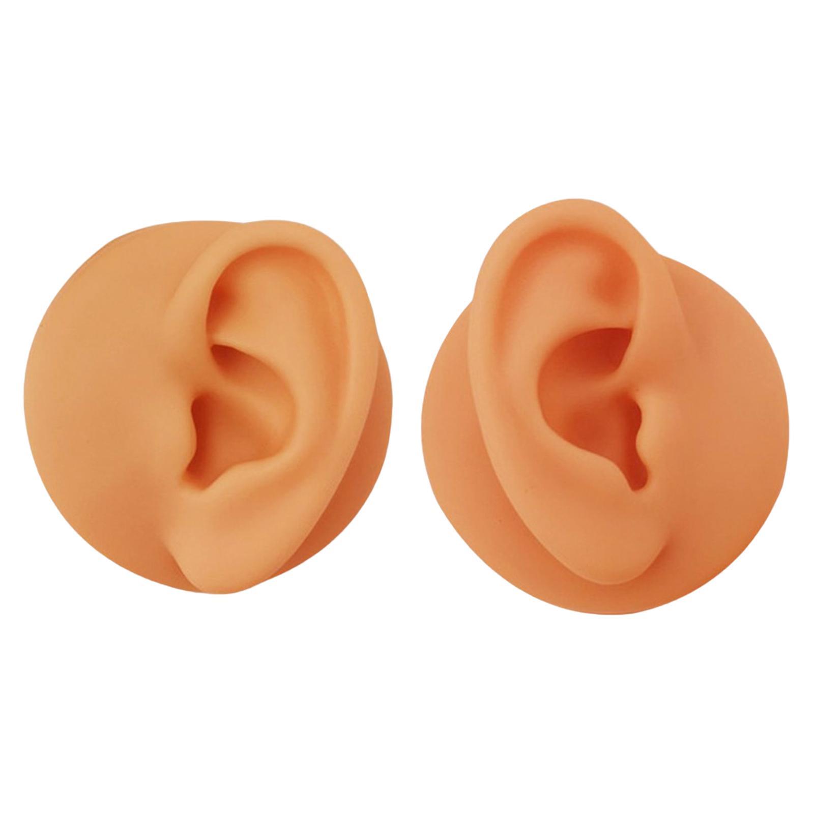 Soft Silicone Ear Model Simulated Ear Models Rubber Washable for Shop Brown