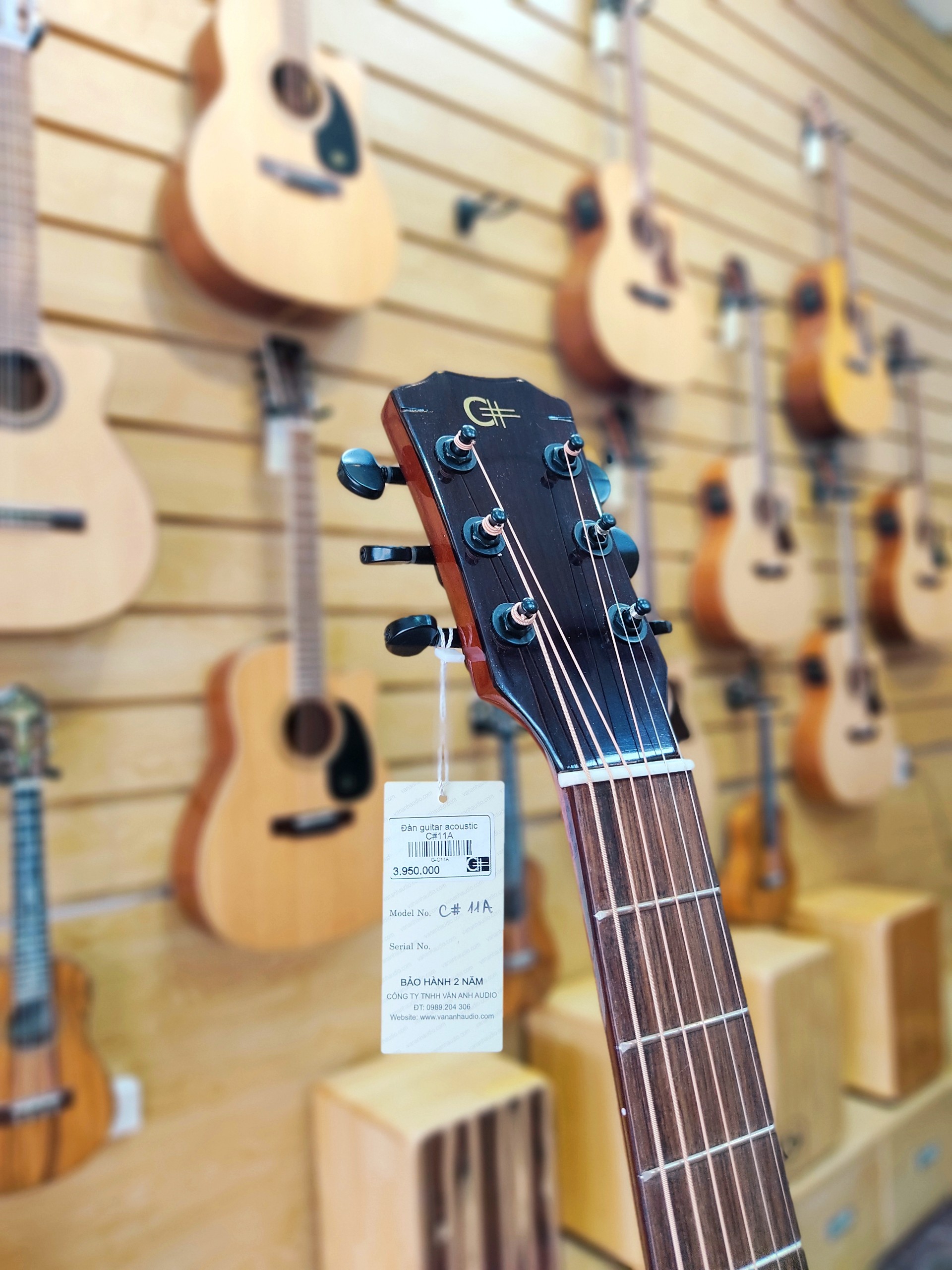 Đàn guitar acoustic C#11A