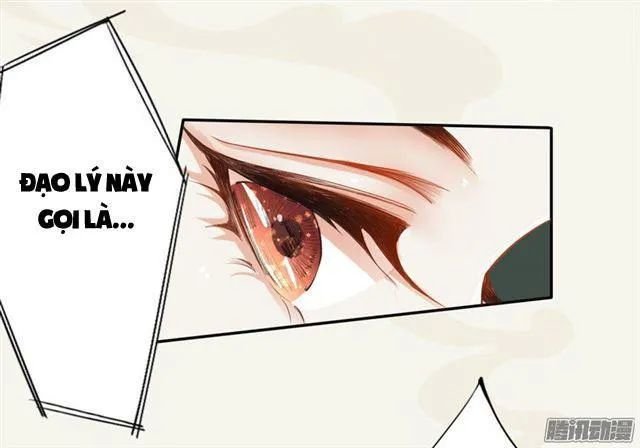 tuyệt thế luyện đan sư chapter 15 39