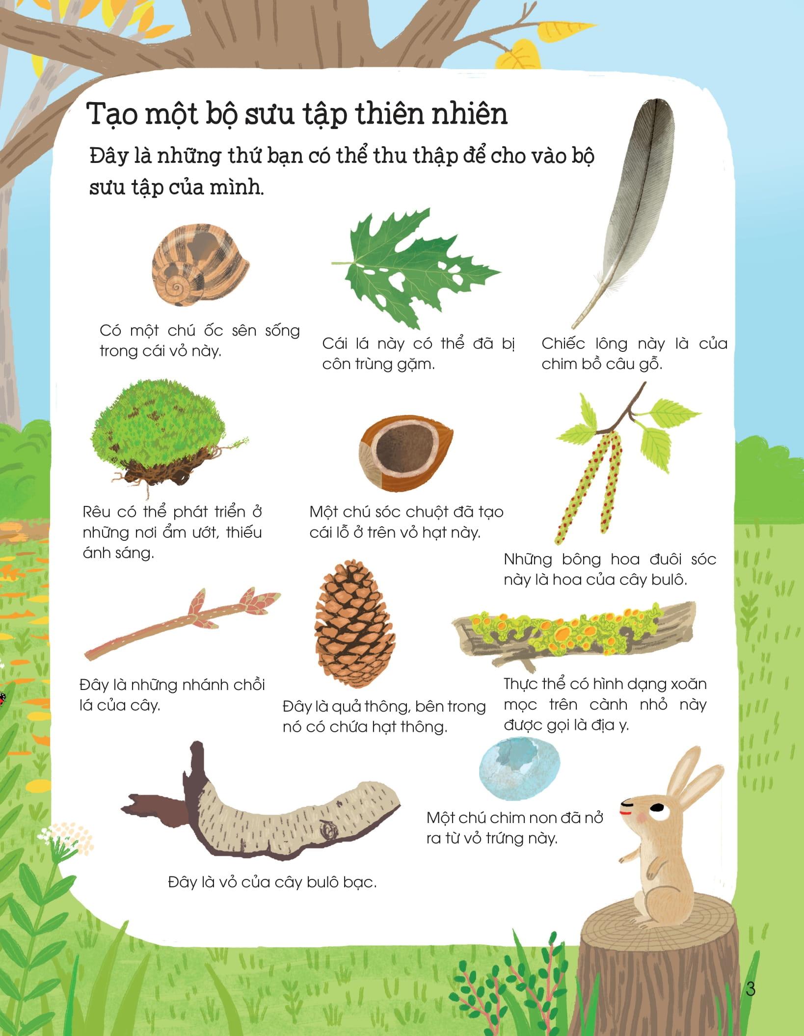 Sách Thế Giới Trong Tay Em - Thiên Nhiên Diệu Kỳ