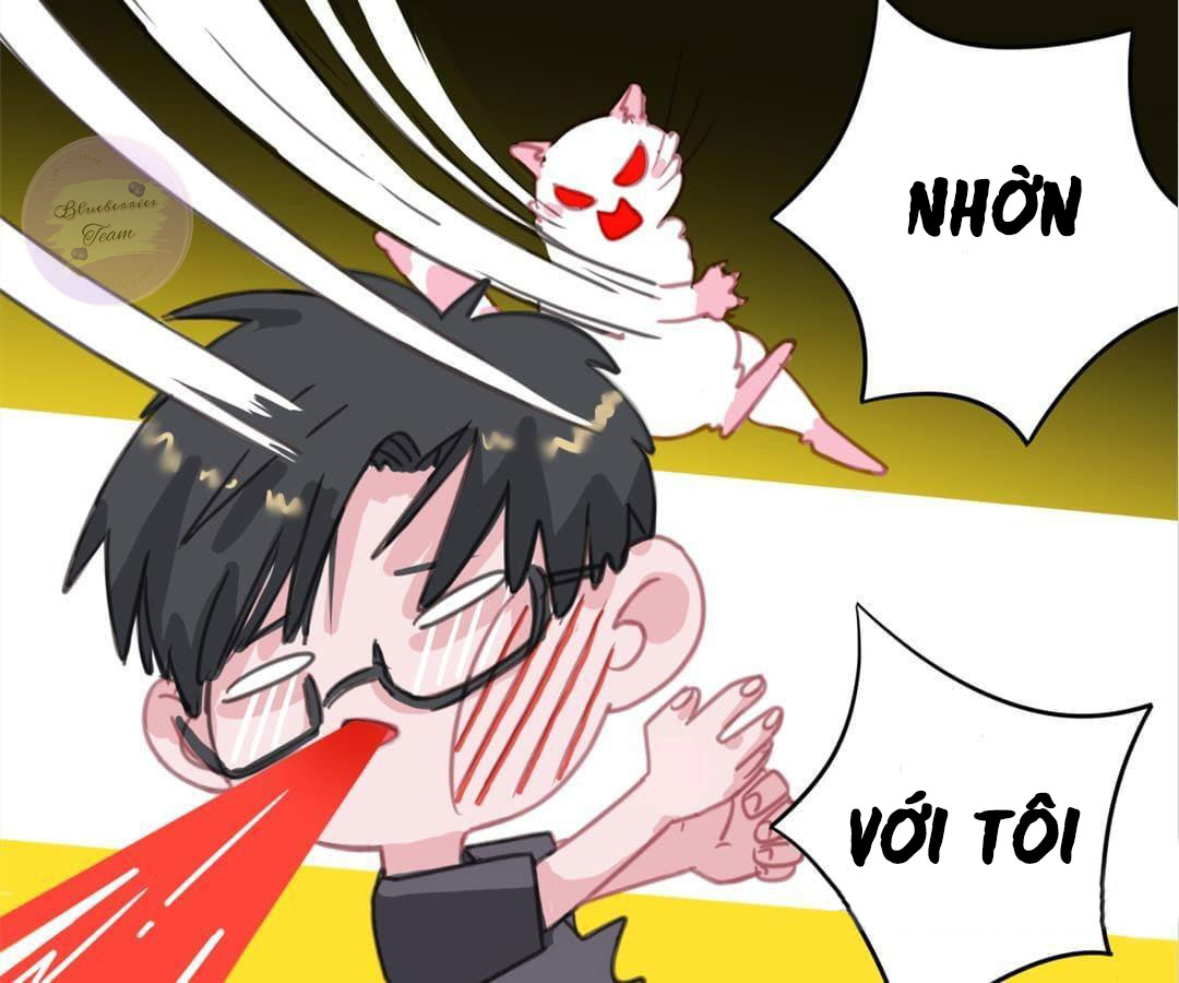 social cat chapter 1 75