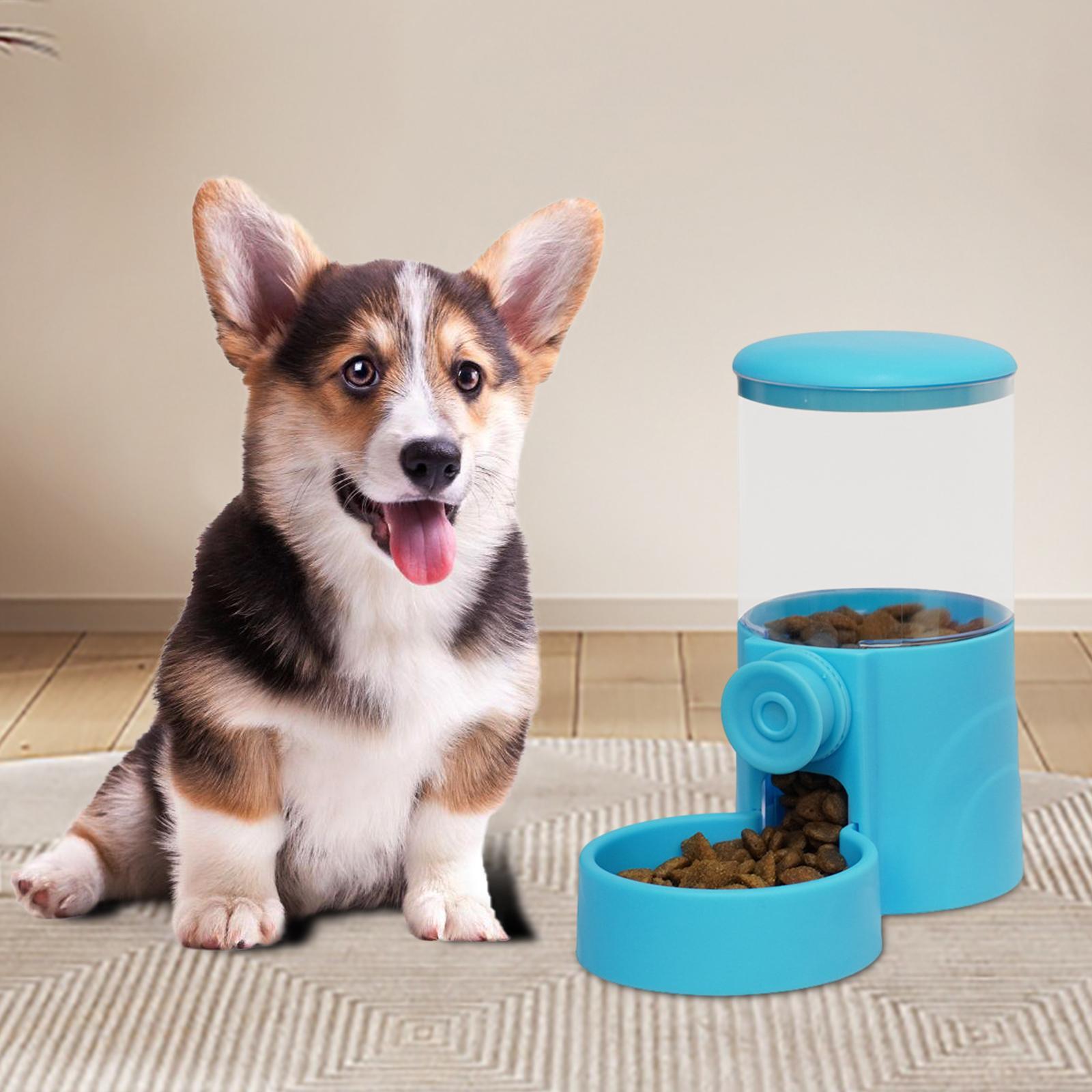 Feeding Container Cat Dog Automatic Pet Feeder for Hamster Kitten Large Cats